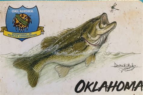 oklahoma fishing license|oklahoma fishing license lifetime for disabled.